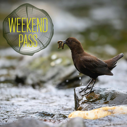 Early Bird Weekend Pass |  Sat, 17 Oct & Sun, 18 Oct